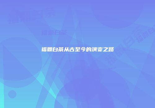 福鼎白茶从古至今的演变之路