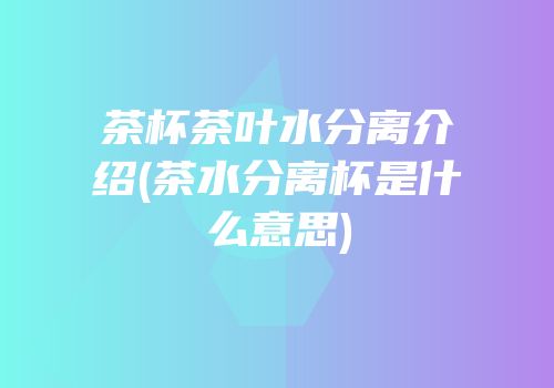 茶杯茶叶水分离介绍(茶水分离杯是什么意思)