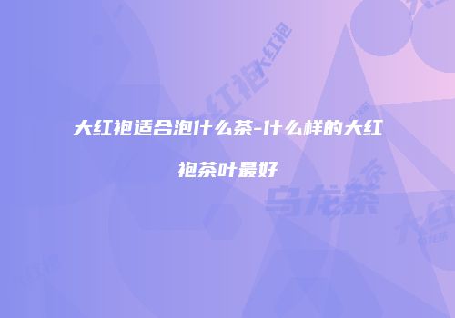 大红袍适合泡什么茶-什么样的大红袍茶叶最好