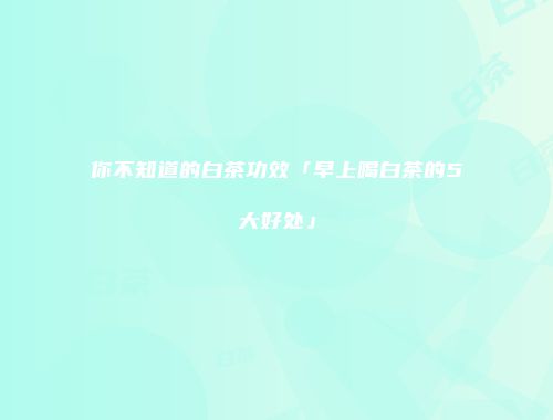 你不知道的白茶功效「早上喝白茶的5大好处」
