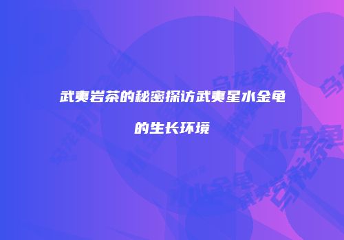 武夷岩茶的秘密探访武夷星水金龟的生长环境