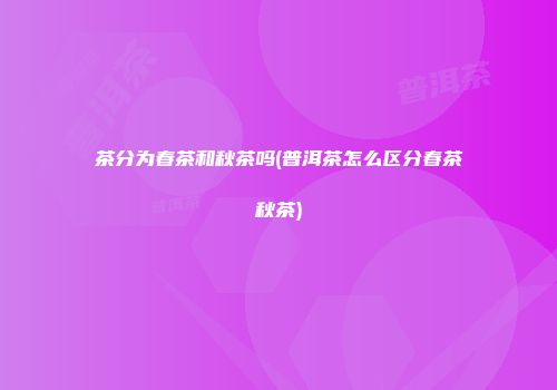 茶分为春茶和秋茶吗(普洱茶怎么区分春茶秋茶)