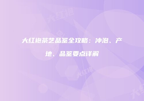 大红袍茶艺品鉴全攻略：冲泡、产地、品鉴要点详解