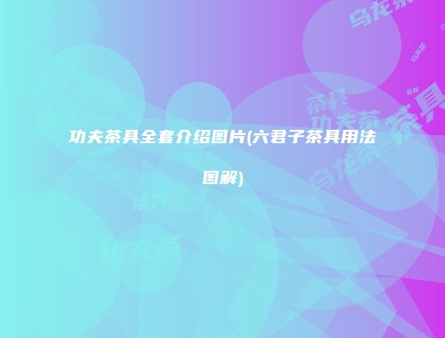 功夫茶具全套介绍图片(六君子茶具用法图解)