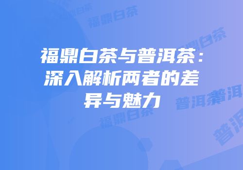 福鼎白茶与普洱茶：深入解析两者的差异与魅力