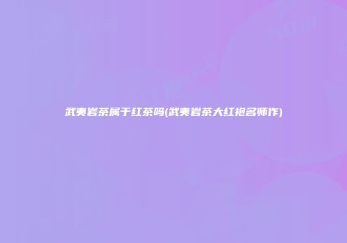 武夷岩茶属于红茶吗(武夷岩茶大红袍名师作)