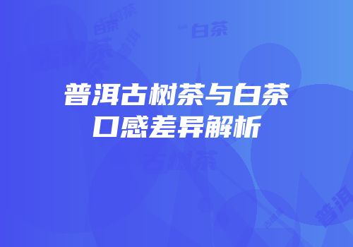 普洱古树茶与白茶口感差异解析