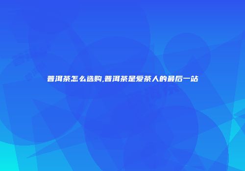 普洱茶怎么选购,普洱茶是爱茶人的最后一站