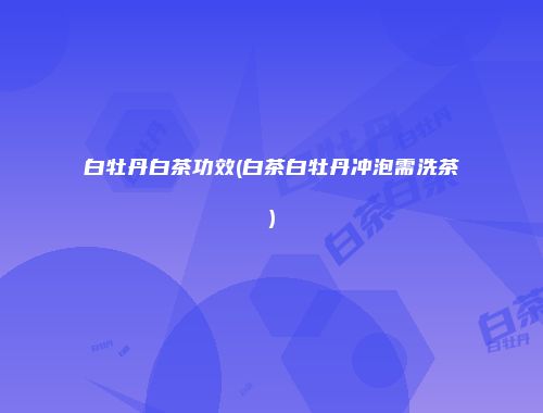 白牡丹白茶功效(白茶白牡丹冲泡需洗茶)