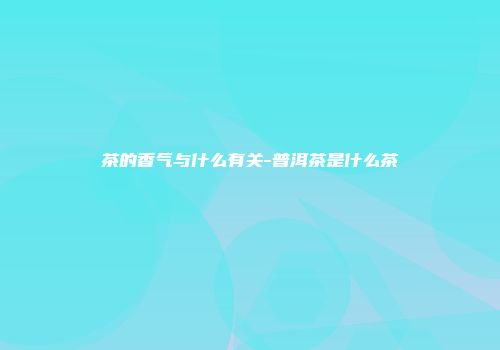 茶的香气与什么有关-普洱茶是什么茶
