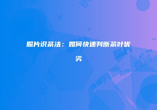 照片识茶法：如何快速判断茶叶优劣