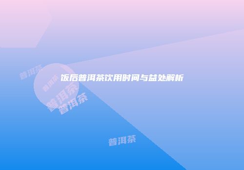 饭后普洱茶饮用时间与益处解析