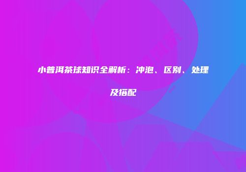 小普洱茶球知识全解析：冲泡、区别、处理及搭配