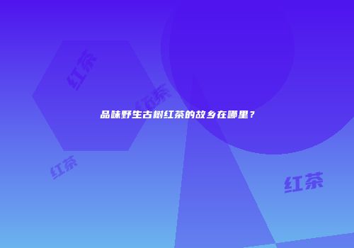 品味野生古树红茶的故乡在哪里？