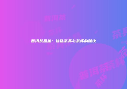普洱茶品鉴：挑选茶具与茶杯的秘诀