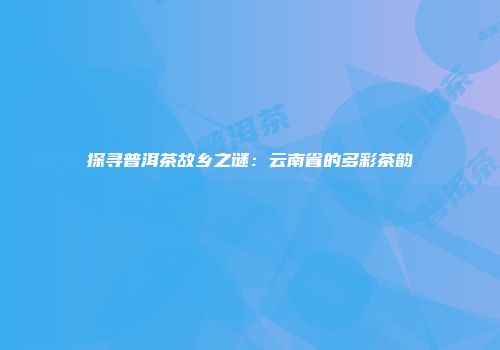 探寻普洱茶故乡之谜：云南省的多彩茶韵