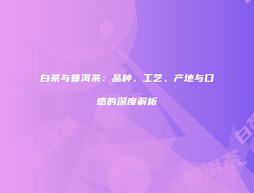 白茶与普洱茶：品种、工艺、产地与口感的深度解析