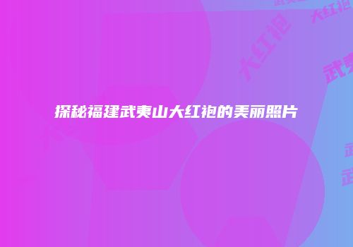 探秘福建武夷山大红袍的美丽照片