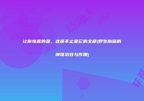 让你惊喜的是，这还不止是它的全部(野生胎菊的神奇功效与作用)
