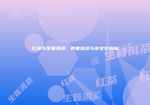 红茶与生普洱茶：养壶选择与茶文化解析