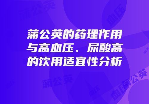 蒲公英的药理作用与高血压、尿酸高的饮用适宜性分析