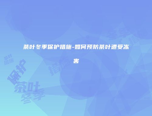 茶叶冬季保护措施-如何预防茶叶遭受冻害
