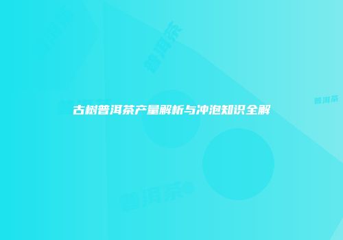 古树普洱茶产量解析与冲泡知识全解