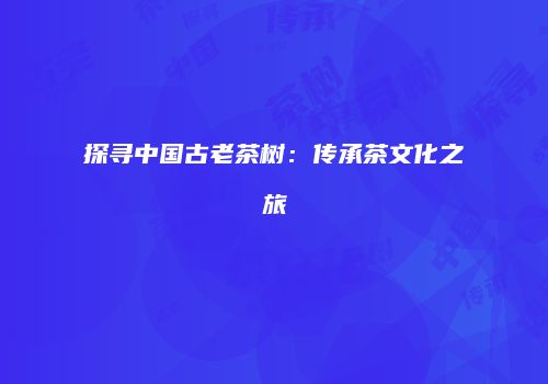 探寻中国古老茶树：传承茶文化之旅
