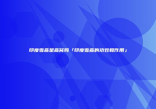 印度雪燕是燕窝吗「印度雪燕的功效和作用」