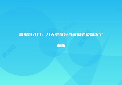 普洱茶入门：八五老茶台与普洱老茶知识全解析