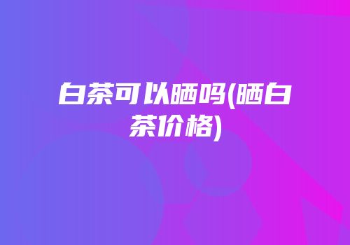 白茶可以晒吗(晒白茶价格)