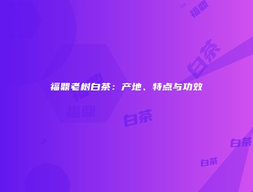 福鼎老树白茶：产地、特点与功效