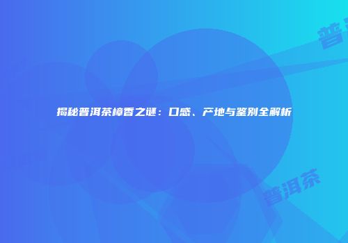 揭秘普洱茶樟香之谜：口感、产地与鉴别全解析