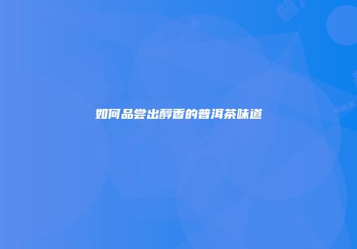 如何品尝出醇香的普洱茶味道