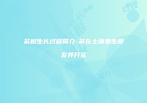 茶树生长过程简介-茶在土壤里生根发芽开花