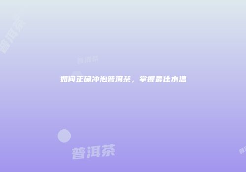 如何正确冲泡普洱茶，掌握最佳水温