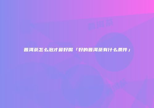 普洱茶怎么泡才最好喝「好的普洱茶有什么条件」