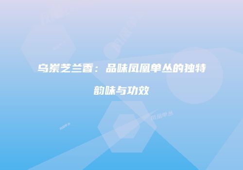 乌岽芝兰香：品味凤凰单丛的独特韵味与功效