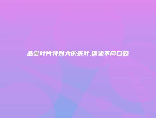 品尝叶片特别大的茶叶,体验不同口感