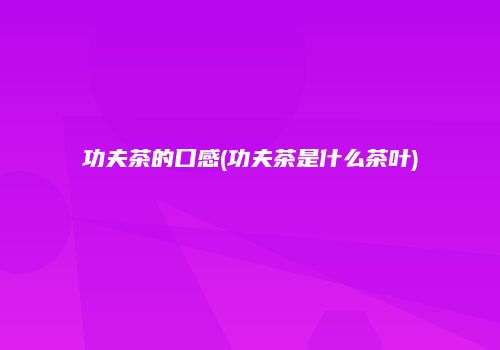 功夫茶的口感(功夫茶是什么茶叶)