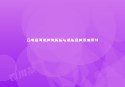 云南普洱茶种类解析与茶树品种深度探讨