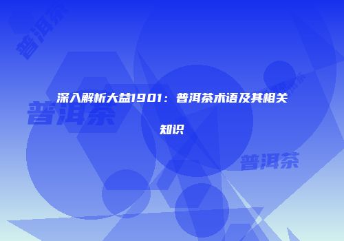 深入解析大益1901：普洱茶术语及其相关知识