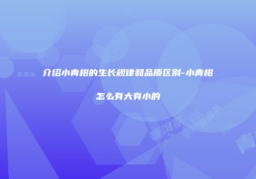 介绍小青柑的生长规律和品质区别-小青柑怎么有大有小的