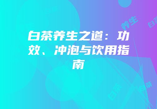 白茶养生之道：功效、冲泡与饮用指南