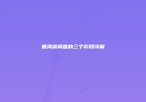 普洱茶闻香的三个阶段详解