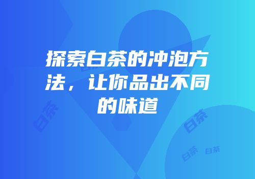 探索白茶的冲泡方法，让你品出不同的味道