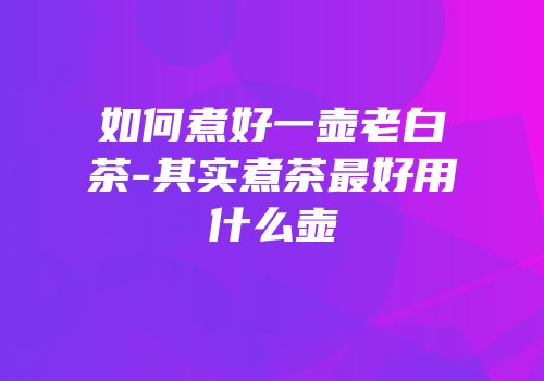 如何煮好一壶老白茶-其实煮茶最好用什么壶