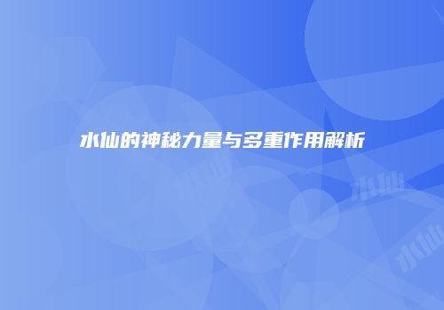 水仙的神秘力量与多重作用解析