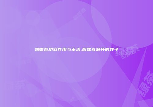碧螺春功效作用与主治,碧螺春泡开的样子