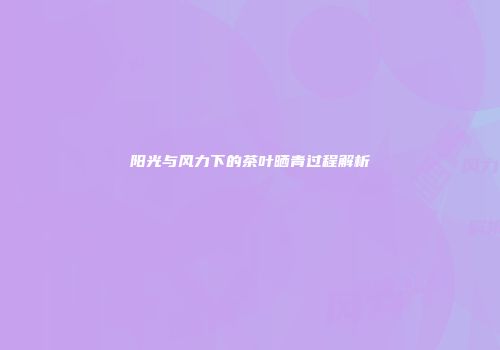 阳光与风力下的茶叶晒青过程解析